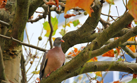 Якою буде погода на Сватівщині у перші дні вересня 2021: прогноз з 30 серпня по 5 вересня