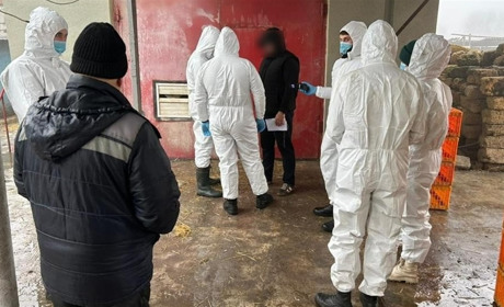 Поліція повідомила про підозру зоотехніку, який відповідатиме за масове поширення пташиного грипу