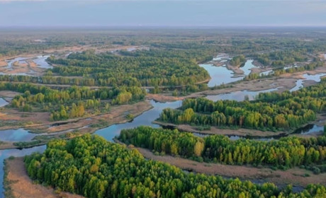 Чотири ідеї для короткої, але цікавої подорожі Чернігівщиною на вихідних