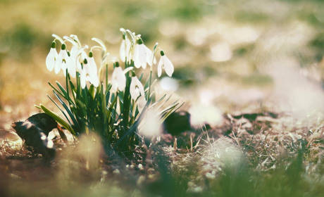 Погода на Великдень та найближчі дні на Сумщині та в Україні