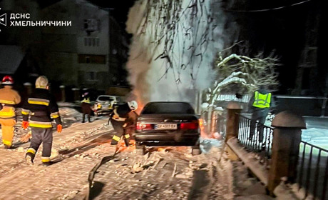 Дві пожежі у Городку: вогнеборці рятували приватний будинок та легковик