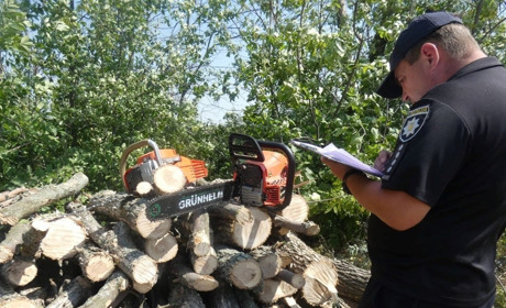 У Сватівському районі на Білокуракинщині четверо чоловіків незаконно рубали деревину: подробиці