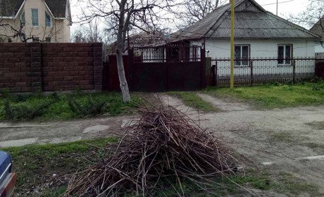 Ціна питання: біляївці почали користуватися послугою КП «Наш дім» вивозу лози і гілля. Як це працює