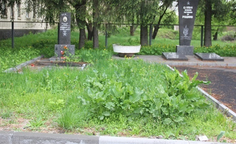У День пам’яті на могилах росте бур’ян: недоглянуті солдатські поховання на вулиці Шевченка