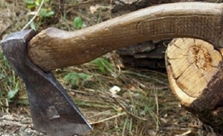 На Шепетівщині чоловік заплатить чималу суму за незаконну вирубку дерев