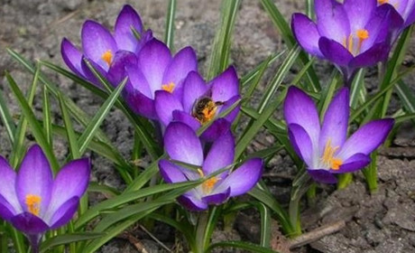 Погода у Фастові: чим порадує початок квітня