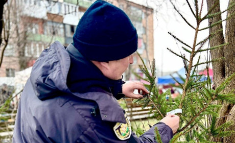 Звягельські поліцейські нагадують про правила заготівлі та реалізації хвойних дерев