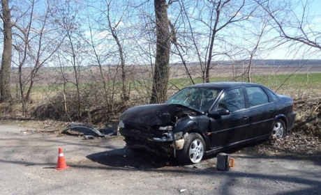 В Барському районі водій легковика не впорався з кермуванням та врізався в дерево