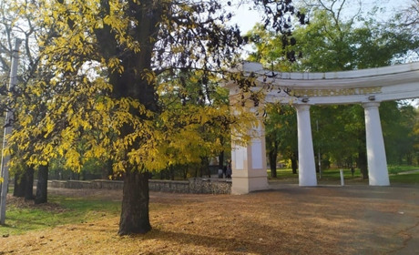 Навіщо херсонському підприємству приховувати свої закупівлі: історія з КП «Парки Херсона»