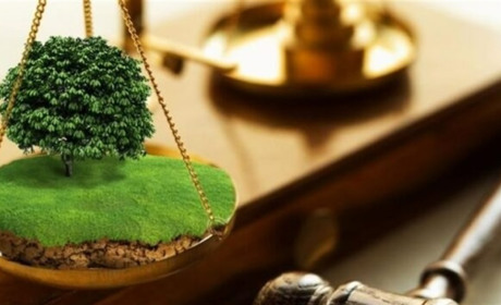 Завдяки прокурорам 60 га землі природно-заповідного фонду повернуть у державну власність