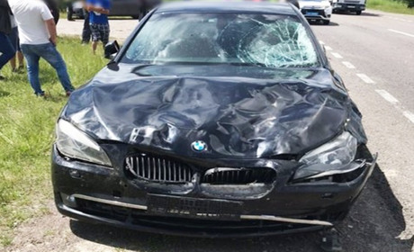 На Володимиреччині водій збив вісьмох овець