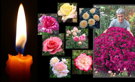 Білопілля буде вічно квітнути його трояндами…