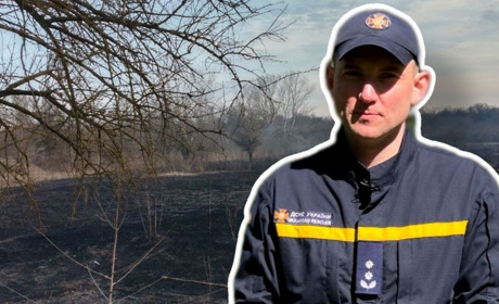 Чому не можна спалювати сухостій: шкода, штрафи та альтернатива