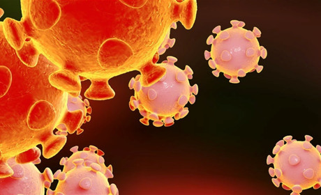 Володимиреччина VS коронавірус: статистика станом на 27 листопада