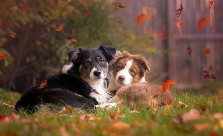 На початку тижня синоптики опадів не прогнозують: якою буде погода з понеділка, 21 жовтня