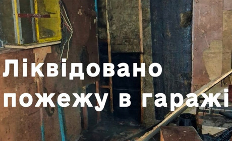 Пожежа у Звягелі: на вулиці дерево зайнялося впритул до гаража