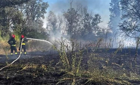 Понад 270 пожеж в екосистемах Нікопольщини: рятувальники нагадують про штрафи за підпал сухої трави