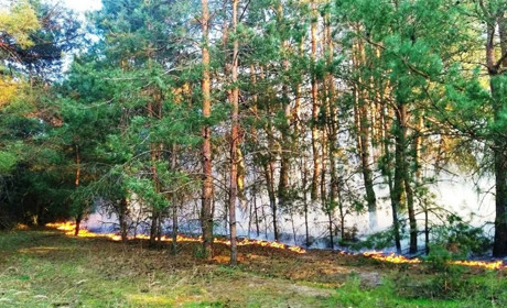 На Київщині надзвичайно високий рівень пожежної небезпеки, а на Бориспільщині досі підтоплення