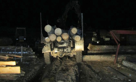 Поліцейські викрили трьох жителів Звягельщини у крадіжці деревини