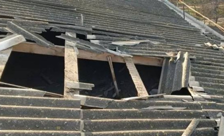 Нова Каховка: обстріли, проліски, торішнє листя