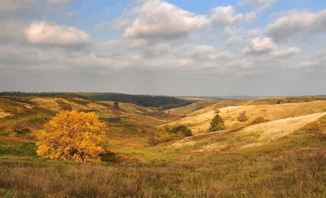 Ржищівській громаді повернули землі «Трахтемирова»