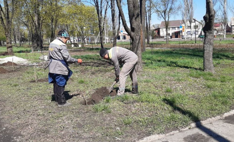 Покровськ – зелене та квітуче місто