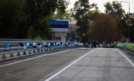 У рамках допомоги Естонії у відбудові Житомирщини відновлено зруйнований рф міст — нардеп Пушкаренко