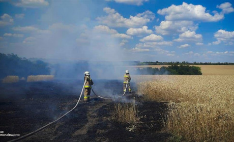 32 пожежі загасили на Миколаївщині за добу: статистика від рятувальників
