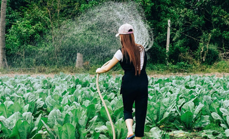Кагарличан застерігають не поливати садки та городи із системи цетралізованого водопостачання  