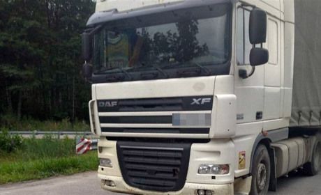 На блокпосту в Сарненському районі за вечір вилучили три вантажівки з деревиною