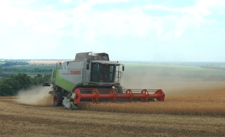 Вивіз українське зерно до РФ. На директора агрофірми з Луганщини чекає суд