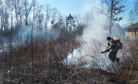 У Сарнах палять сухостій попри заборону: голова обіцяє премію за кожного спійманого палія