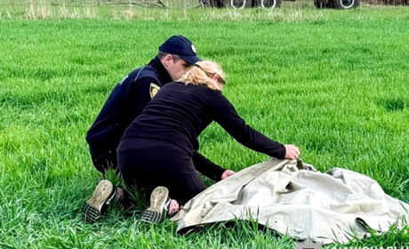 «10 діб пошуків, надії, сподівань»: на Дубровиччині розшукали тіло 4-річного Дмитра