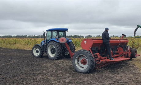 З надією на переможні жнива: на Білопільщині приступили до посіву озимих культур