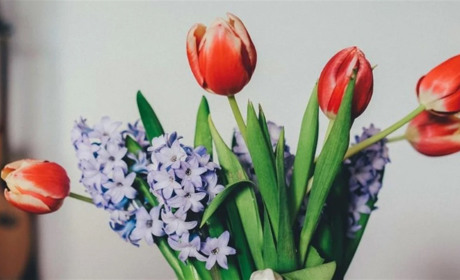 Міжнародні та державні свята у березні 2024 року: чи будуть додаткові вихідні