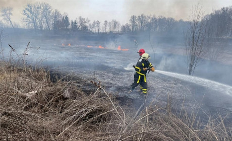 34 пожежі за тиждень: мешканці Уманщини продовжують спалювати свою землю