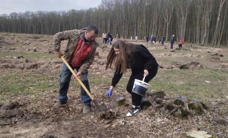 Барські школярі ліцею №2 висадили жолуді в Йосипівському лісі