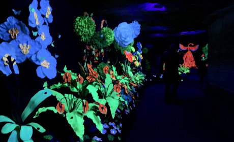 У Нерубайському встановили рекорд: тут відкрили найдовший в Європі арт-простір