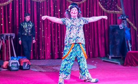 У Сватове їде цирк «Кураж». У вас є шанс купити два квитка по ціні одного