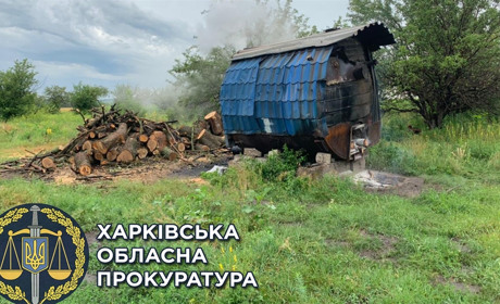 На Лозівщині викрили нелегальний бізнес з виготовлення деревного вугілля