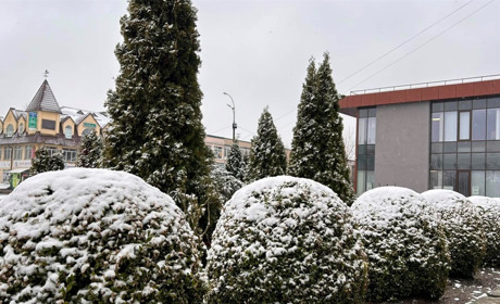 У Звягелі відбудеться виконком: 14 питань – від музею Лесі Українки до вивезення сміття