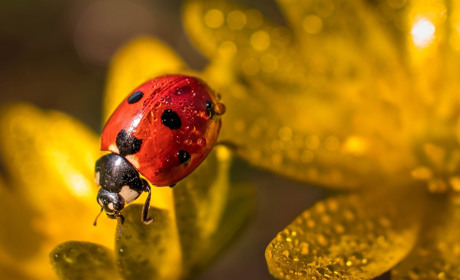 Якою буде погода на Сватівщині у останній тиждень травня: прогноз з 24 по 30 травня 2021