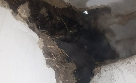 Рятувальники врятували від вогню будинок у Будо-Макіївці