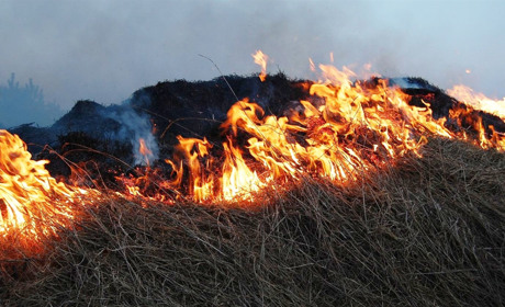 Паліїв розорять: в Уряді в десятки разів підвищили штрафи за підпал сухостою та забруднення повітря