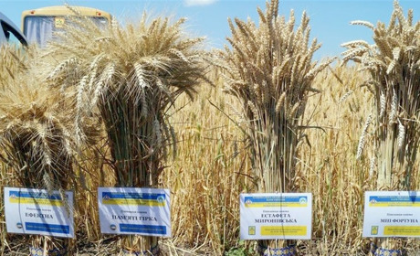 Аграрії Сумщини обговорили, як зібрати і реалізувати вирощений урожай