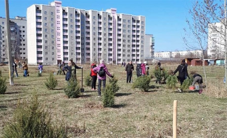 Шосткинців запрошують на весняну толоку
