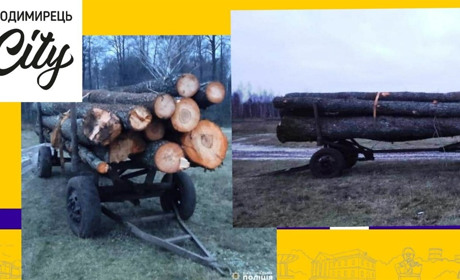 Поліцейські вилучили понад 4 кубічних метри лісу неподалік села Журавлине. Про що мова?