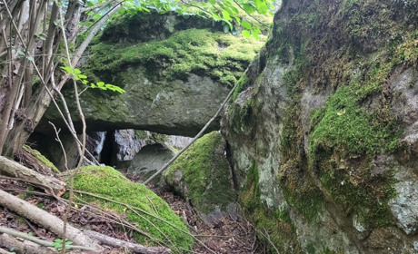 Доісторичні петрогліфи знайдені на острові біля Южноукраїнська. Дивіться фоторепортаж