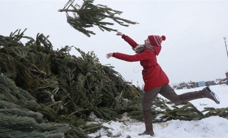 Не несіть на смітник: учні однієї з шкіл Южного збирають новорічні ялинки, батарейки та пластик