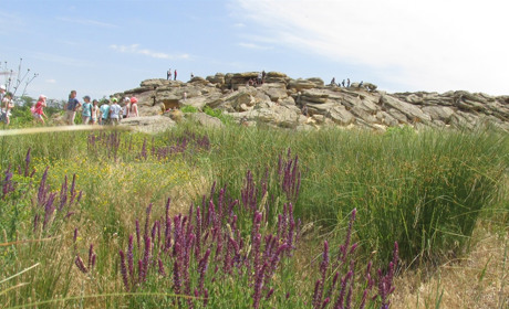 «Ехали на современное море, а свернули на Каменную Могилу — и очутились в глубокой древности»